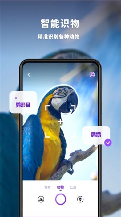 趣扫手机版
