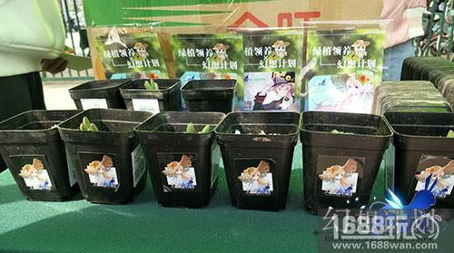 种下樱花树 《幻想计划》为中国添绿色[多图]