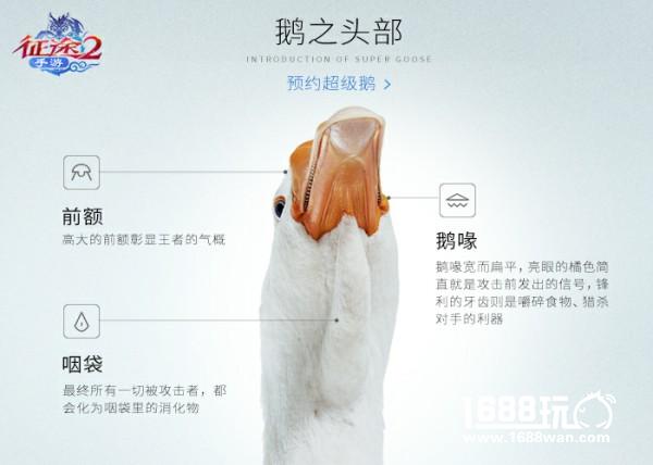 史上最强游戏宠物 超级鹅预约今日开启[视频][多图]图片3