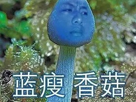 香菇哥福利 虎牙八秃子再献撩妹新技巧[多图]图片5