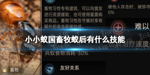 007软件园1