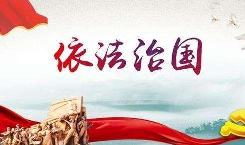 法治实践1怎么写二年级 法治实践1心得体会[多图]图片2