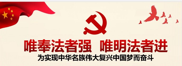 法治实践1怎么写二年级 法治实践1心得体会[多图]图片3
