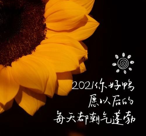 2020最后一天说说文案 2020最后一天朋友圈祝福语及图片分享[多图]图片6