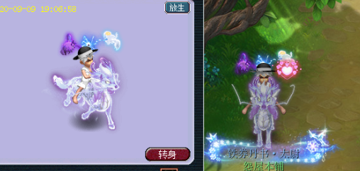 梦幻西游限量端详大全