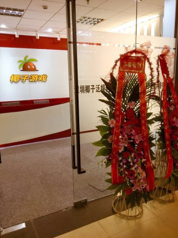 椰子游戏任命CEO叶坚 三大业务群辐射全国[多图]图片2