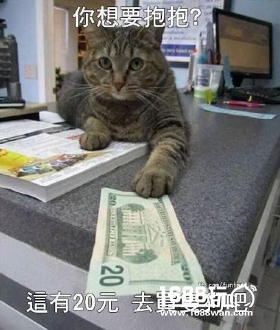 帝国军团中出了个贱贱 搞笑囧图[多图]图片3