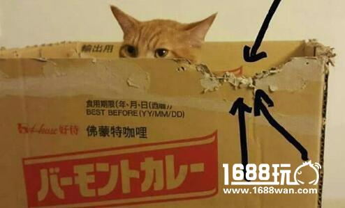 帝国军团中出了个贱贱 搞笑囧图[多图]图片16