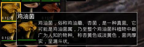 人渣SCUM各蘑菇有什么作用？各蘑菇增加属性一览[多图]图片2
