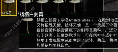 人渣SCUM各蘑菇有什么作用？各蘑菇增加属性一览[多图]图片3