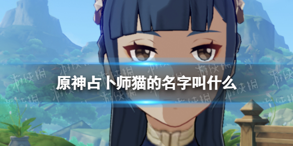 《原神》占卜师猫的名字叫什么 3.1两只猫名字答案