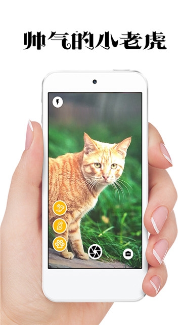 @(currentSoft.name)图@(i + 1)