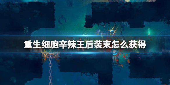 007软件园1