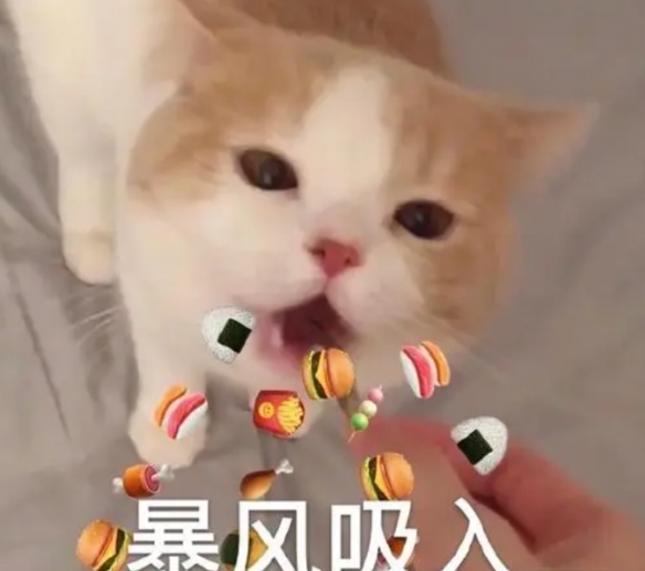 007软件园3