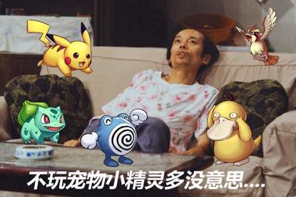 这才是国人玩《宠物小精灵》的正确姿势[多图]图片4