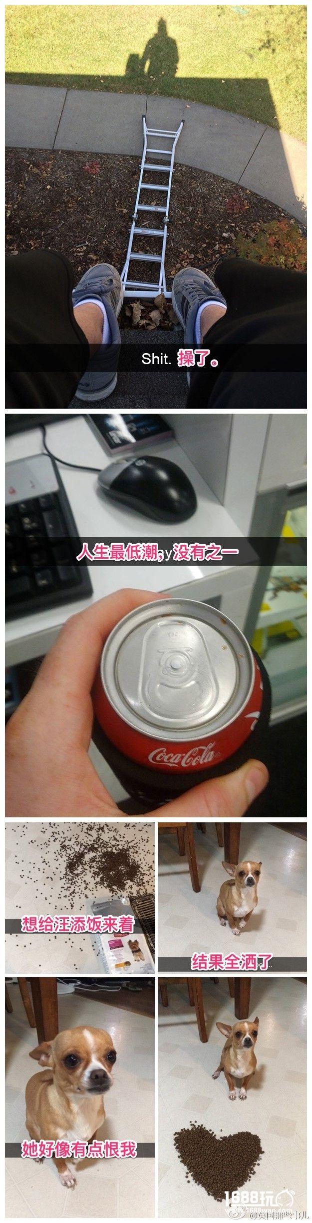 一辆通往二次元的车 搞笑囧图[多图]图片4