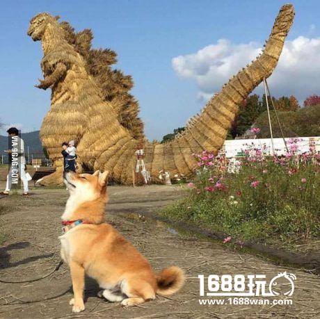 一辆通往二次元的车 搞笑囧图[多图]图片11