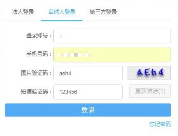 电子税务局怎么登录？电子税务局注册登录方法[多图]图片5