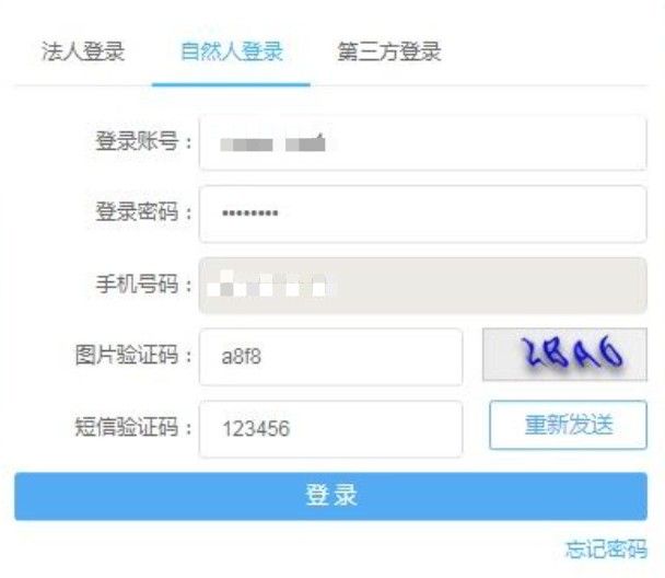 电子税务局怎么登录？电子税务局注册登录方法[多图]图片7