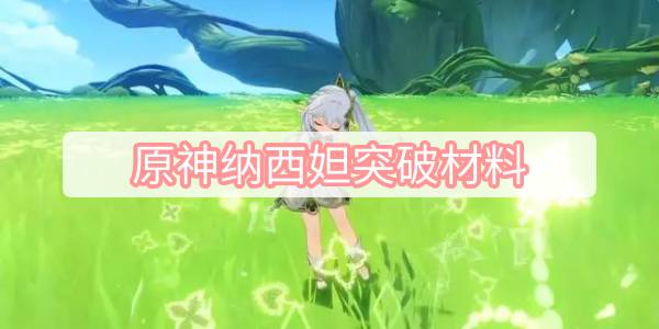 原神纳西妲突破材料-纳西妲突破材料及获取方式介绍