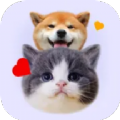 猫狗语宠物翻译器app安卓版