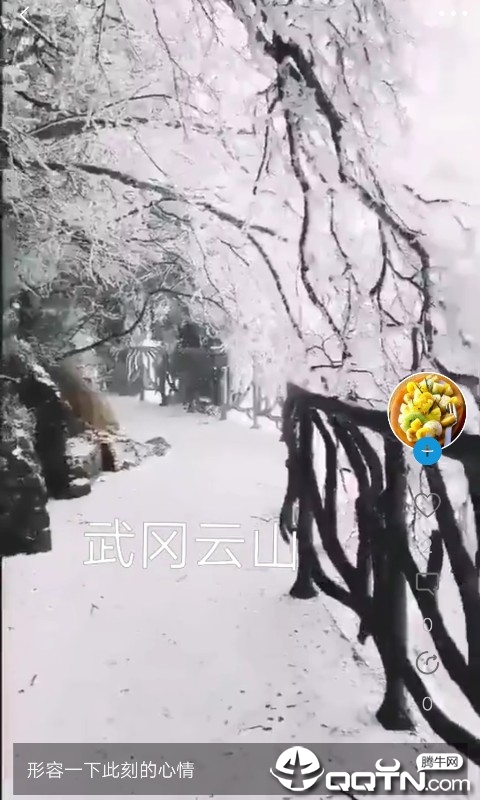 茧影粉丝安卓版