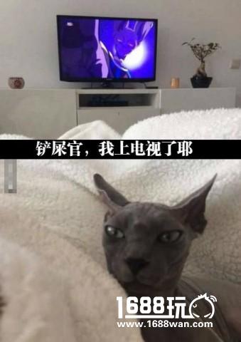 做个了断吧草薙喵 搞笑囧图[多图]图片17