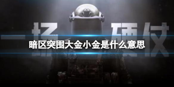 《暗区突围》大金小金是什么意思 游戏用语大金小金介绍