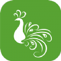 滇农云app