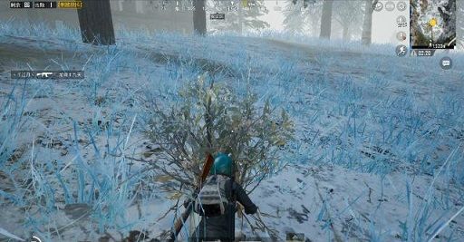刺激战场雨天和雾天怎么刷？雪地模式彩蛋在哪里？[多图]图片3