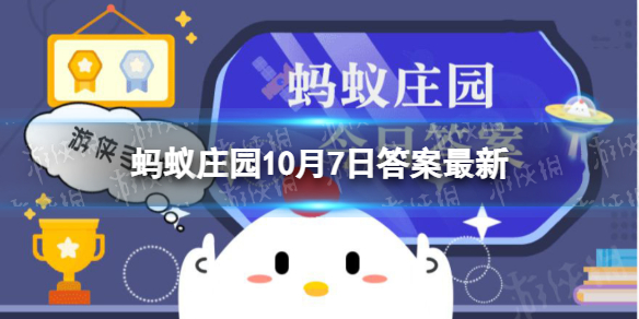 小鸡宝宝考考你牛肉怎么切片口感会更好