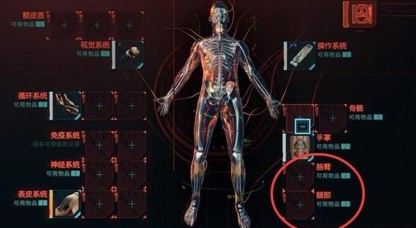 赛博朋克2077四季宝怎么升级？四季宝升级攻略[多图]