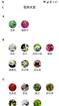 @(currentSoft.name)图@(i + 1)