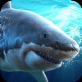 真实模拟鲨鱼捕食最新版