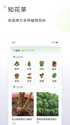 一花草