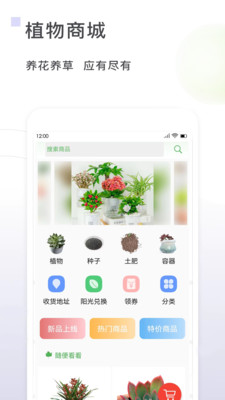 一花草