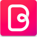 Bazaart专业版