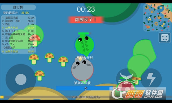 丛林大作战最新版