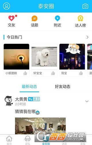 泰安网app