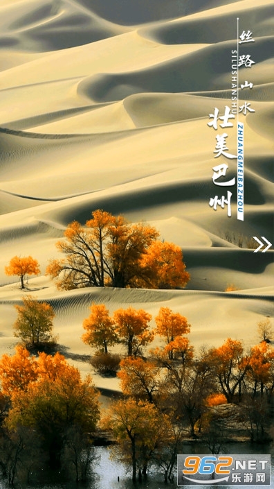 我的巴州app新时代文明实践云平台