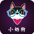 小奶狗定制软件app官方版