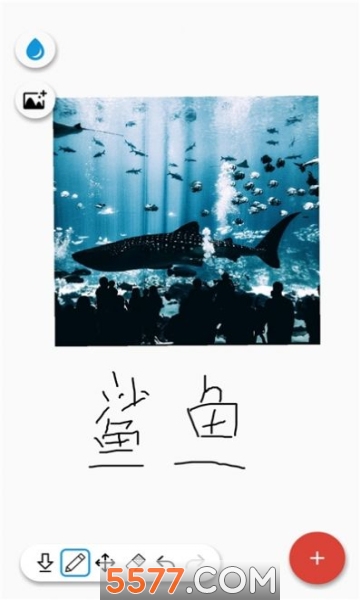 @(currentSoft.name)图@(i + 1)