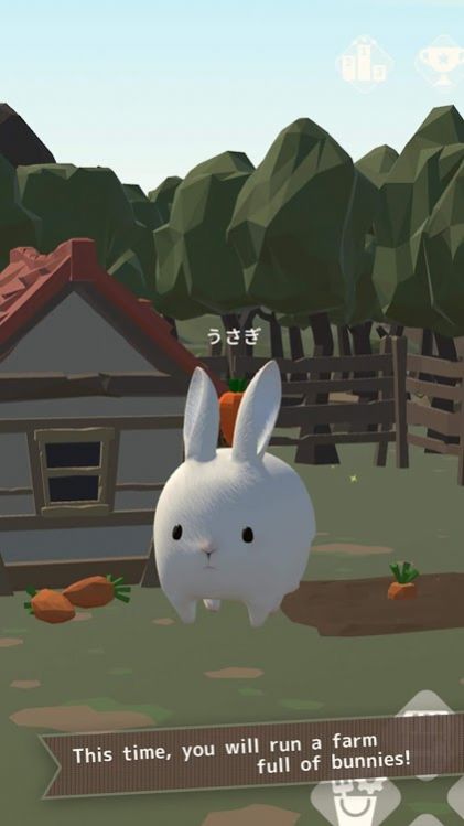 兔子真是太可爱了
