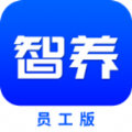 智保养车app