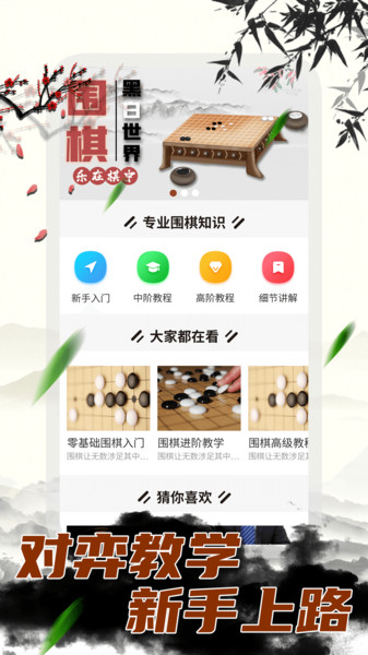 围棋大师