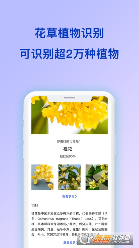 形色识花