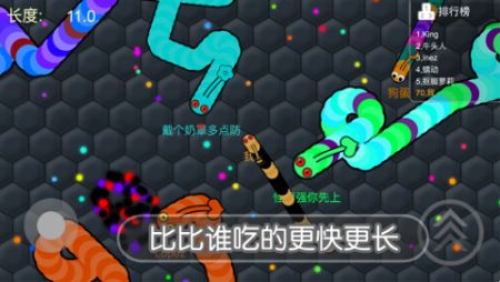暴走蛇蛇