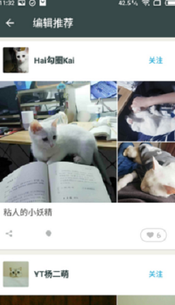 Catbook猫书