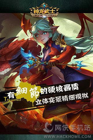 神龙武士