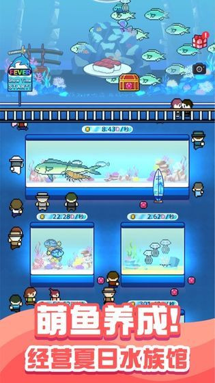 小小水族馆中文版